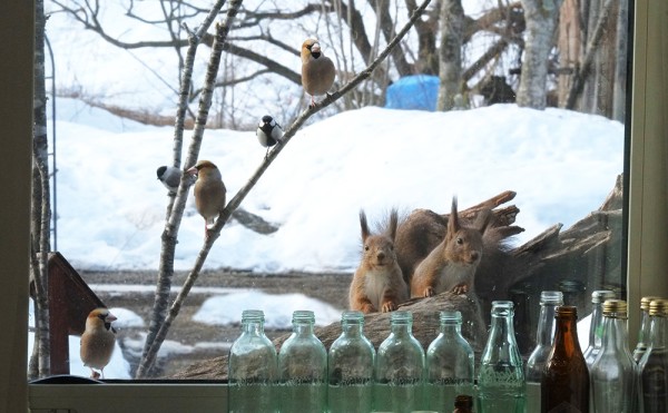 ミーナの庭にある「十勝煖炉」