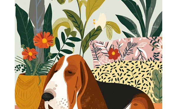 薪ストーブの魅力　01