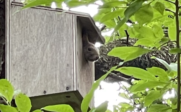 6月29日（土）・30日（日）臨時休業！