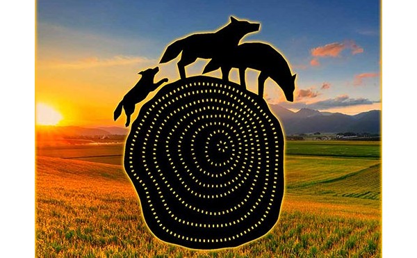 設置事例/ Wolf Sauna[Buena Vista Tokachi 碧(あお)]