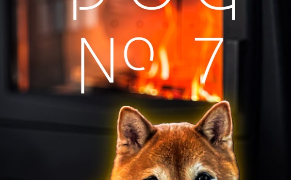 設置事例/アイアンドッグ Nº07