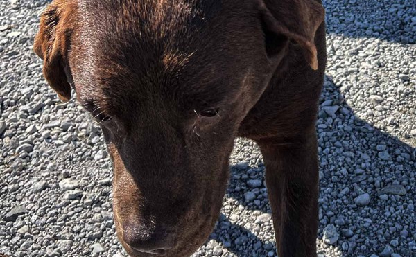 設置事例/NORFLAM Mezzo(ノルフラム　メッツォ）