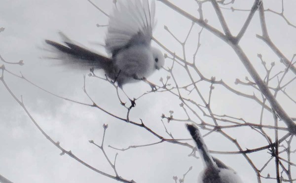 設置事例/NORFLAM Mezzo(ノルフラム　メッツォ）