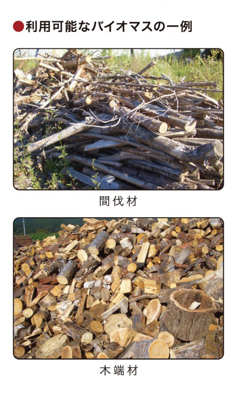 利用可能なバイオマス