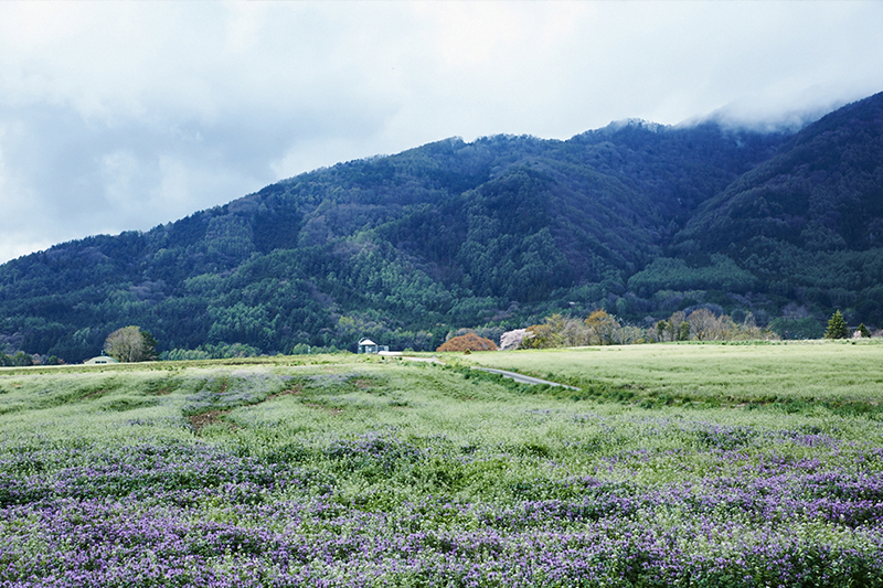 薪ストーブは最先端の暖房器具
