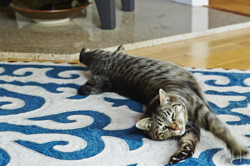 本当に暖かい？